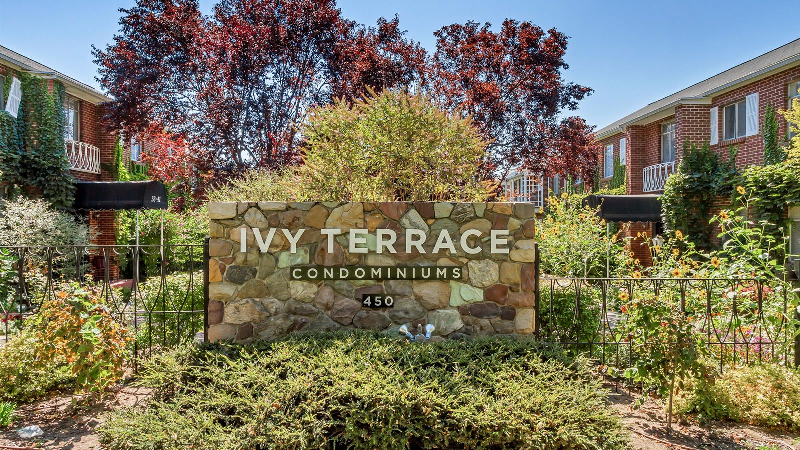 Ivy Terrace League of Your Own